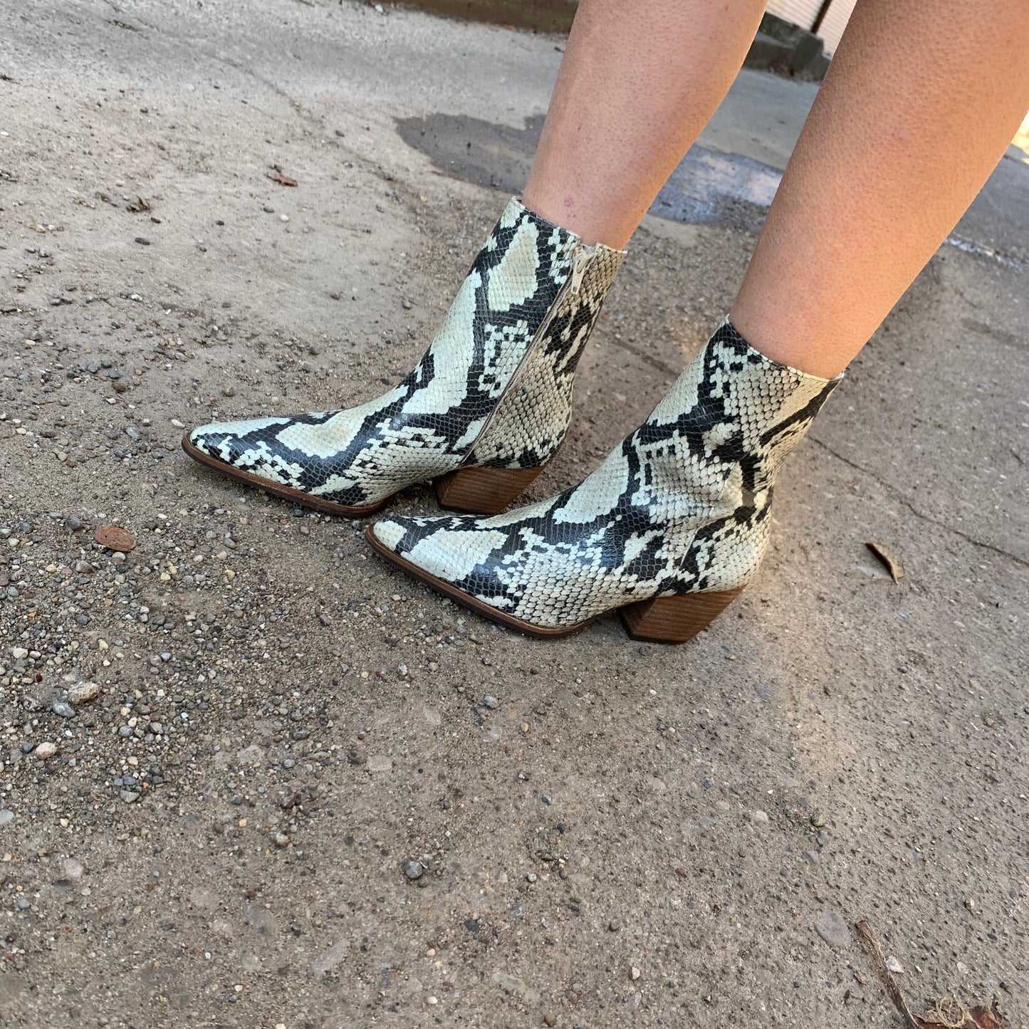 Snakeskin Mid-Bootie